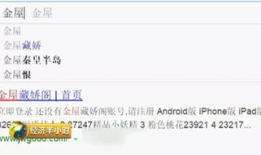 黄网站视频,带你领略真实与虚拟的交织世界